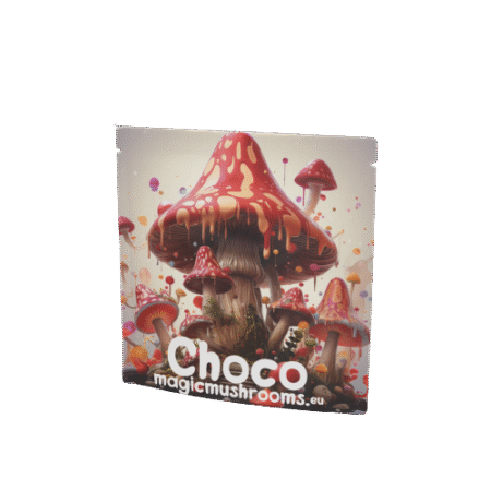 Mushroom Choco