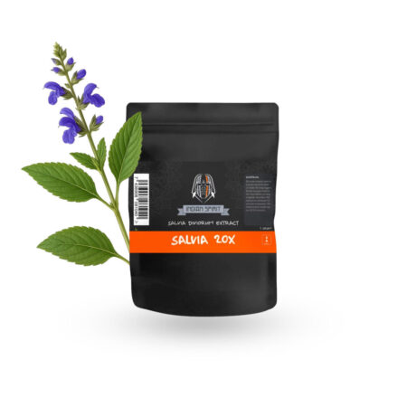 Indian Spirit – Salvia Extract 20X