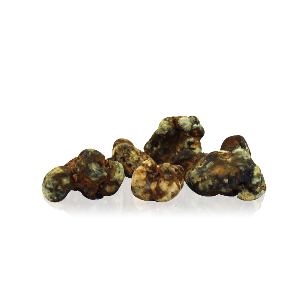 Indian Spirit Truffels – ‘Timeless’ (Holy Moly) 15G - Image 2