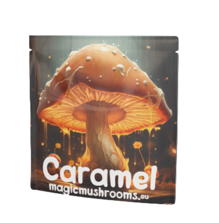 The High Company - Mushroom Caramel / Fudge (1 bag)